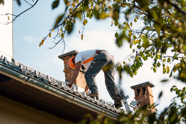 Best Roof Leak Repair  in Tuscumbia, AL