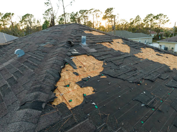 Best Commercial Roofing Services  in Tuscumbia, AL